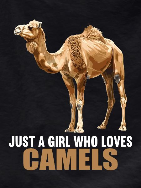 Camel Kamele Kamel