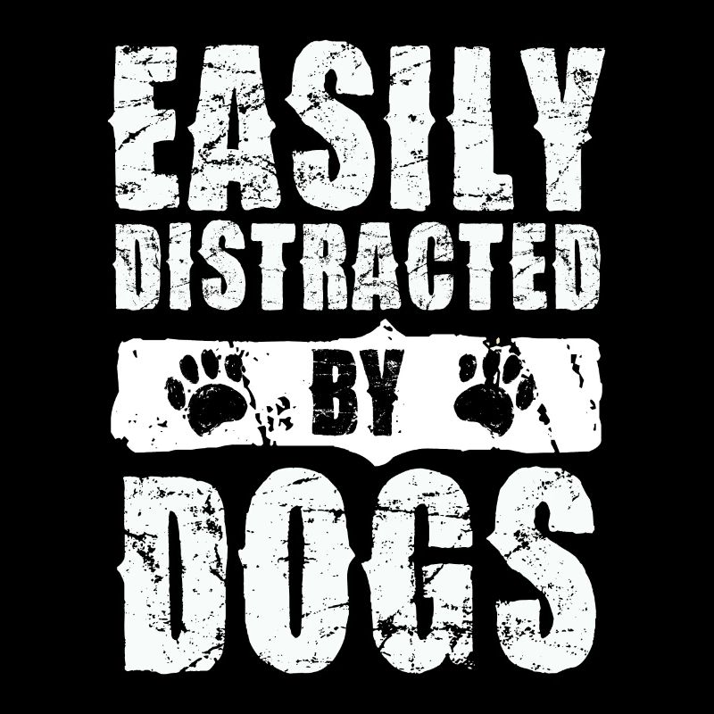 Facilement distrait par les chiens