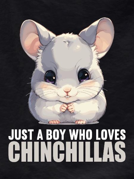Chinchillas Chinchilla