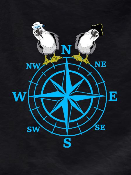 maritime compass seagulls seagull