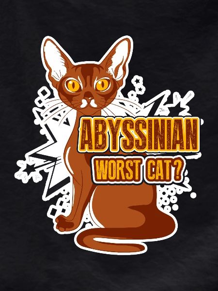 Abyssinian Worst Cat