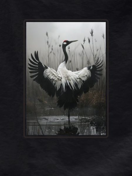 Cranes Crane