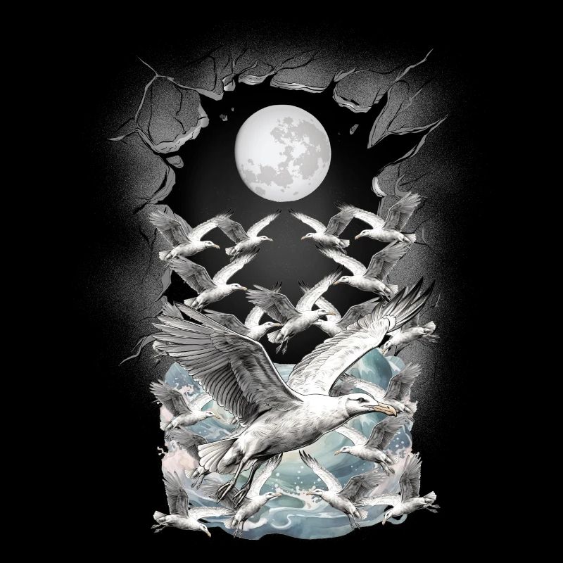 maritime, seagull, seagulls