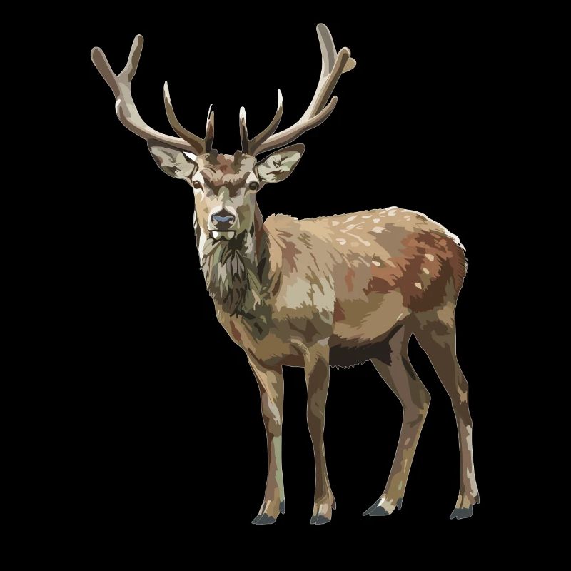 Cerf Cerf