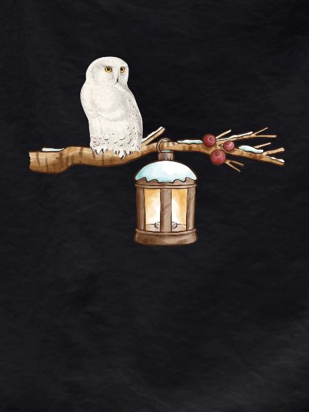 Winter-Eule Winter Owl