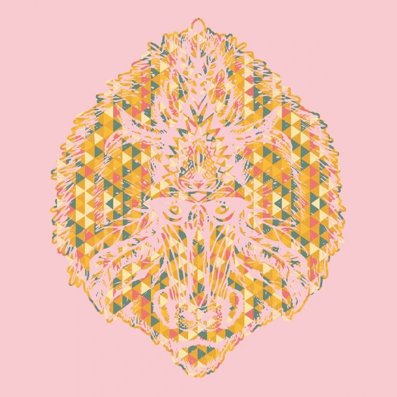 Baboon Geometric