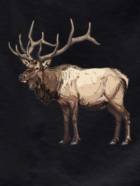 Moose Moose