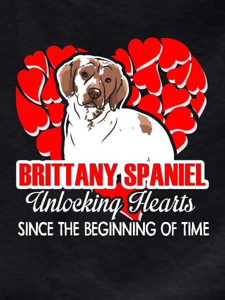 Brittany Spaniel Unlocking Hearts