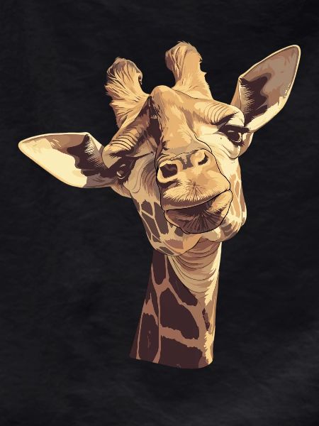 Giraffes Giraffe