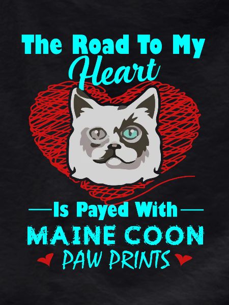 Funny Maine Coon Cat