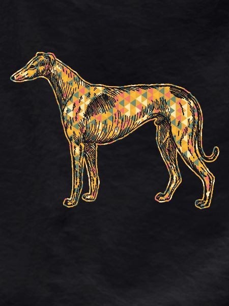 Greyhound Geometric