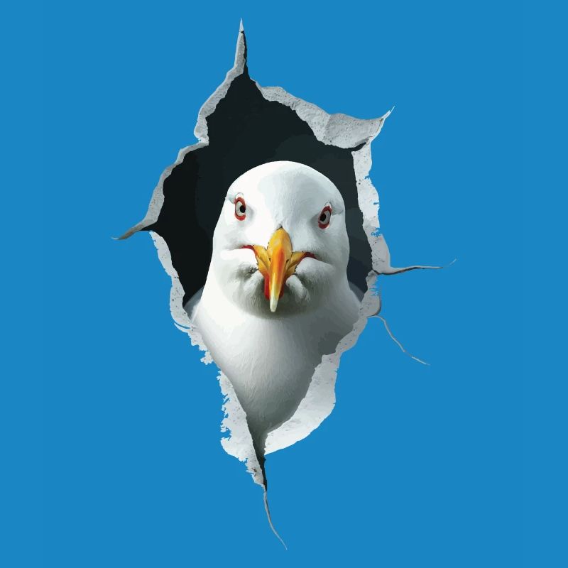 Möwe