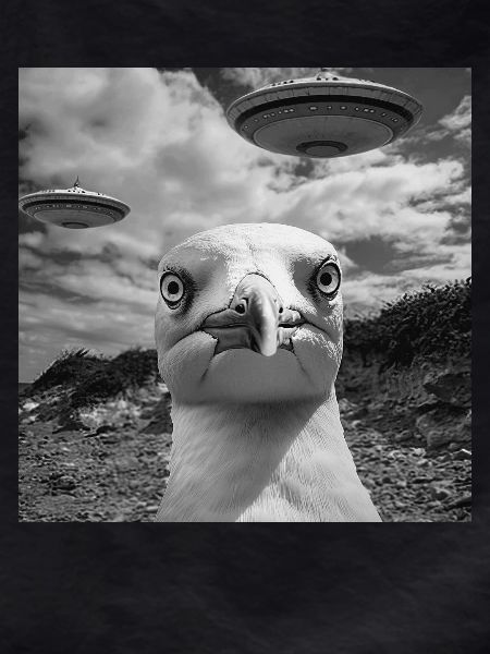 Möwe
