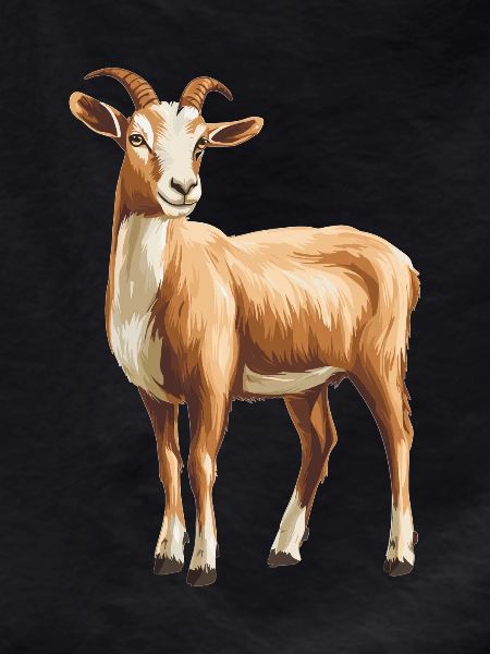 goats goat