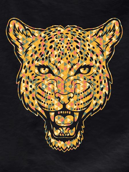 Leopard Geometric