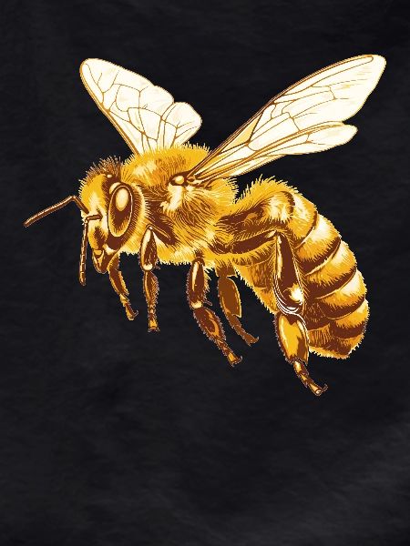 Bees Bee