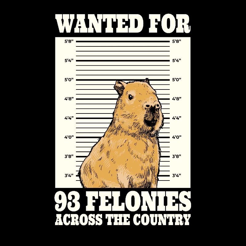 Recherché pour 93 crimes à travers le pays