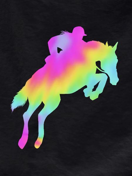 Springreiten Springpferd