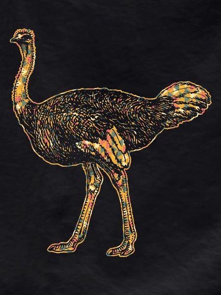 Ostrich Geometric
