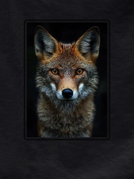Jackals Jackal