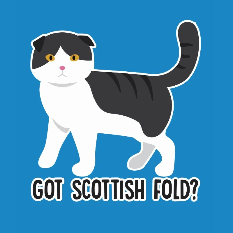Got Scottish Fold Cat