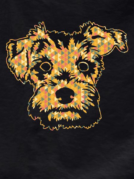 Schnoodle Geometric