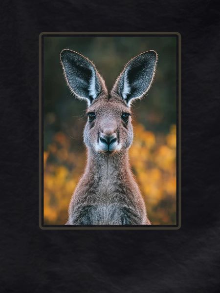 Kangaroos Kangaroo