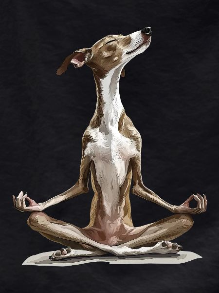 Windhund