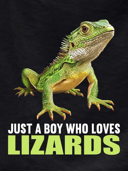 Lizards Lizard