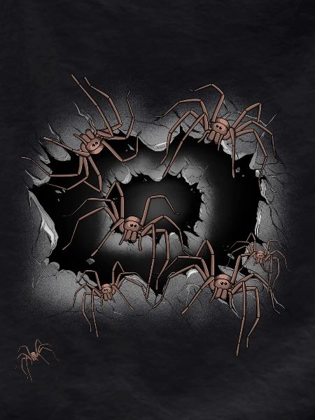 Spider Spiders Halloween