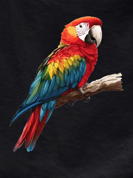 Macaw's Era