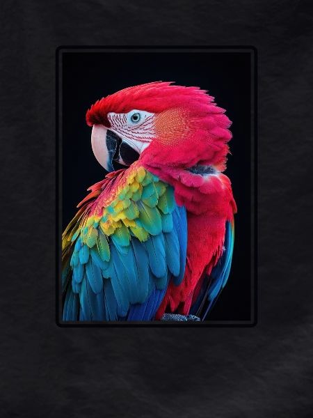 Macaw's Era