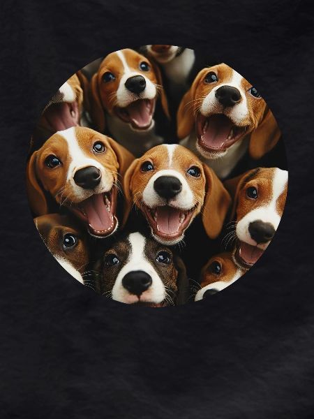 Beagle