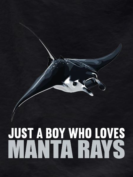 Manta Rays Manta Rays