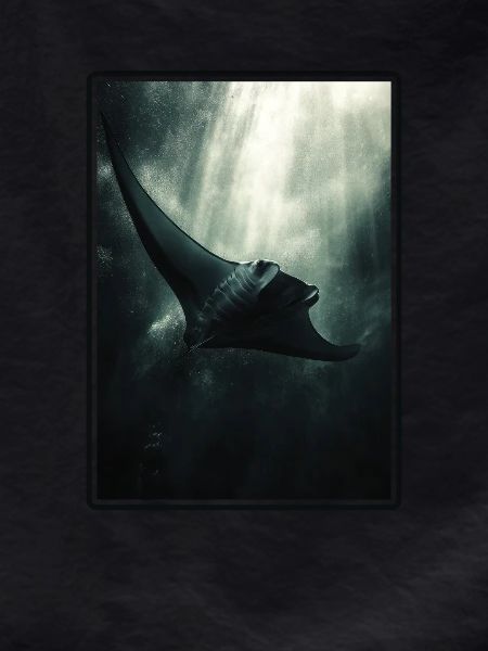 Manta Rays Manta Rays