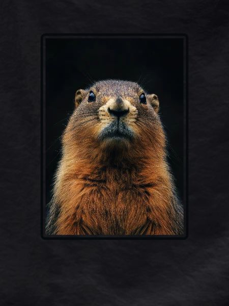 Marmots Groundhog