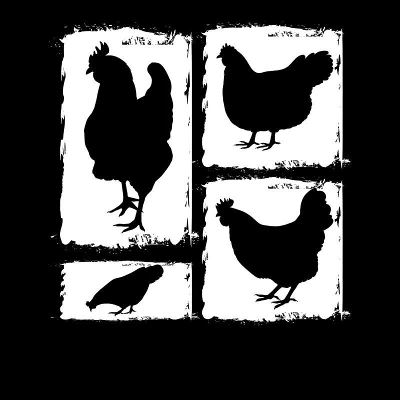 Poules Poule