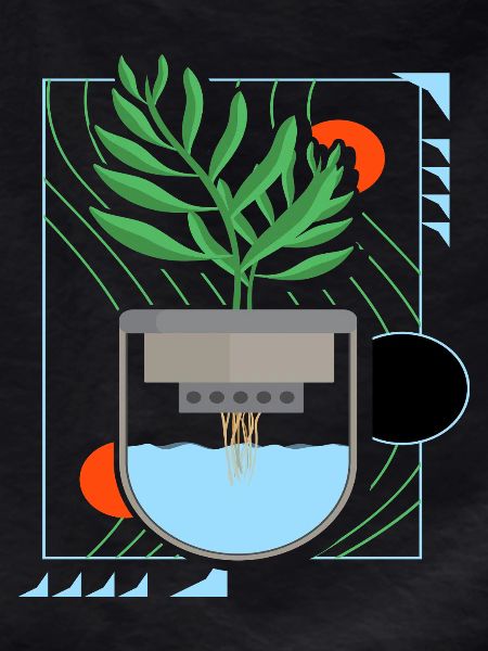 Hydroponik