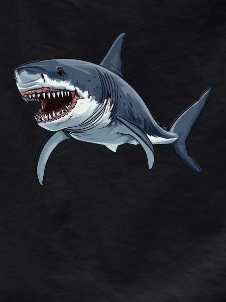 Sharks Shark