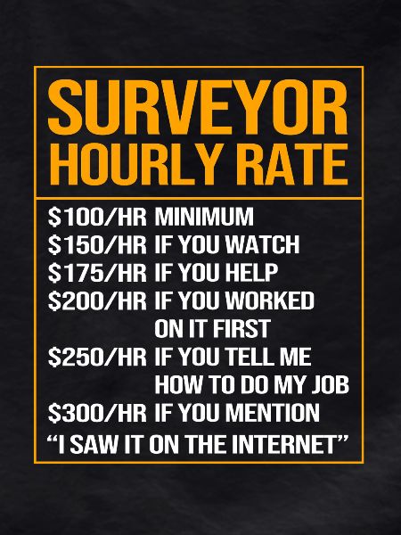 Surveyor