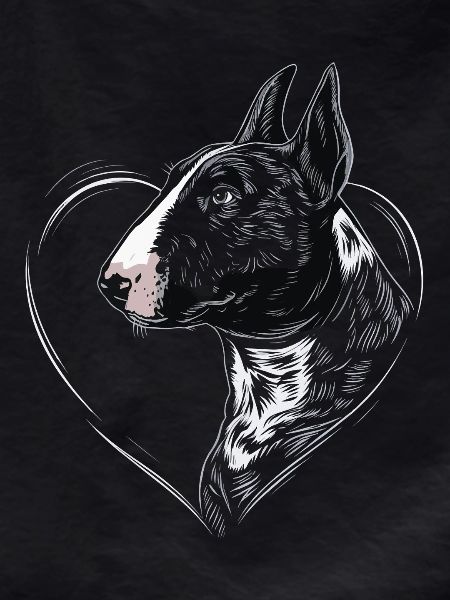 Bullterrier