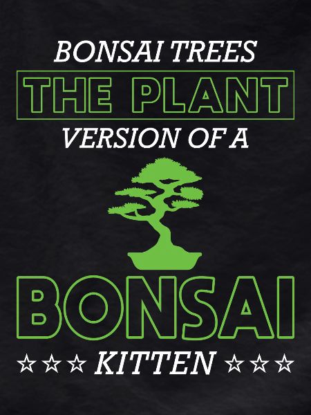 Bonsai Tree