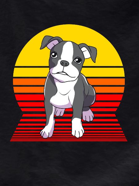 Boston Terrier