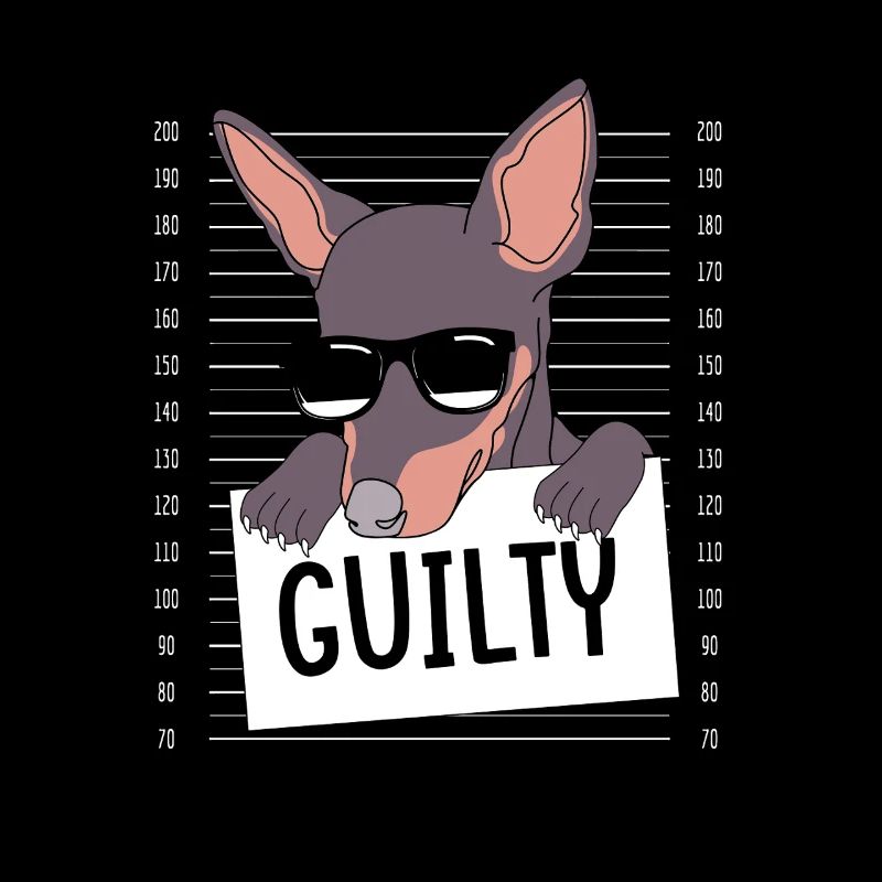 Pinscher nain