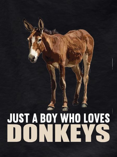 Donkey Esel