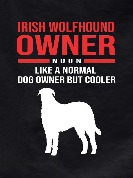 Lévrier irlandais