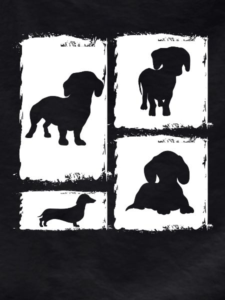 Dog Dachshund