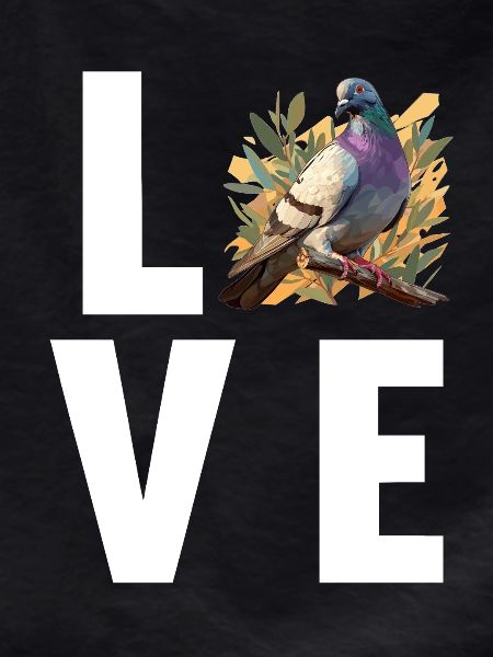 Pigeons Pigeon
