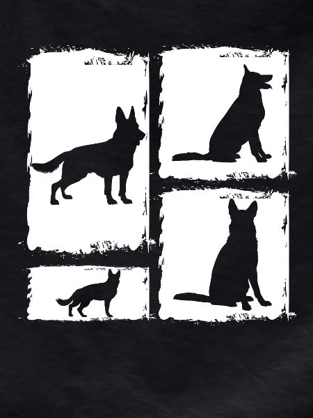 Dog German Shepherd
