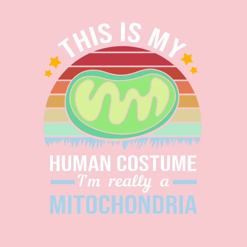 Formule structurelle de la molécule